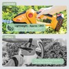 LUXBIRD 2-in-1 Mini Hedge Trimmer Cordless,Light Handheld Grass Trimmer, Electric