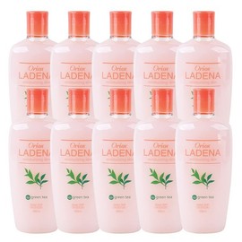 Orix (10개)오릭스 라데나 모이스춰라이징 스킨 390ml (10 pcs) Orix Radena Moisturizing Skin 390ml