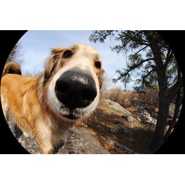 New Super Fisheye (Fish-Eye) High Defintion 0.160x Lens (Black Finish) - (37mm)