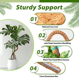 Moss Pole for Climbing Plants Monstera,Bendable Plant Trellis Moss Pole for Plant Support, Coco Coir Plant Pole,Large Moss Pole Support,Plant Sticks for Indoor for Potted Plants, Pothos（1Pack,48Inch）