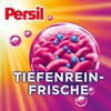 Persil Color Detergent Powder (50 Loads | 6.6 lbs |