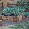 Bloom 11021BL Sun Instabrace Flower Garden Bed Corners, 9.5 Brown