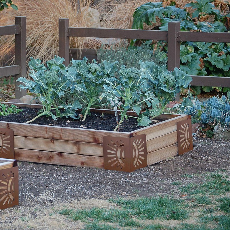 Bloom 11021BL Sun Instabrace Flower Garden Bed Corners, 9.5 Brown