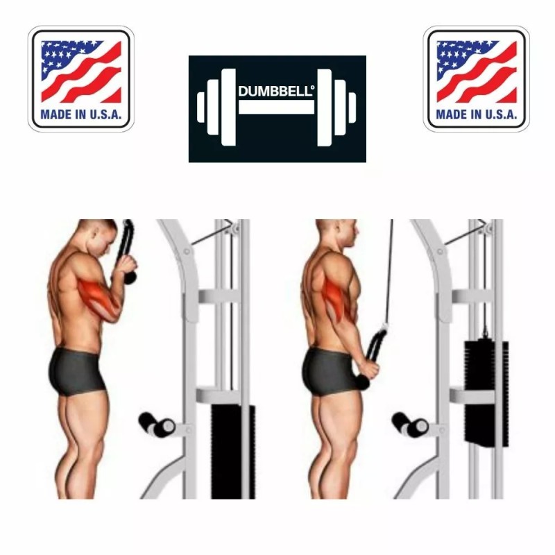 DUMBBELL Triceps Exercises Pilates Biceps Squat Abs Workout Lat Pulldown