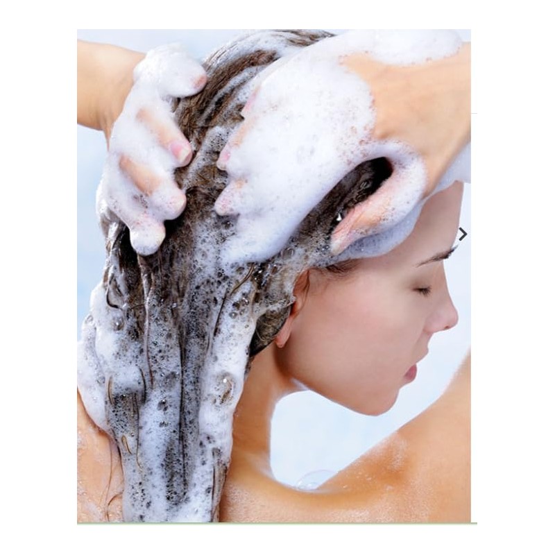 Concentrado de Romero, Shampoo Revitalizante, Prevención Anticaída, Fórmula con Miel