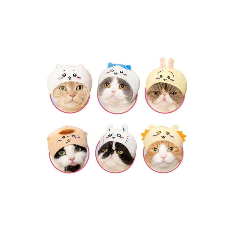 Cute Cute Cat Headwear, Set of 6 Types (Chihuawa), Full