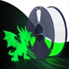 SUNLU PETG Glow in The Dark Filament, Luminous PETG 3D