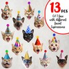 Cat Party Garland Cat Faces Birthday Garland Kitties Birthday Party