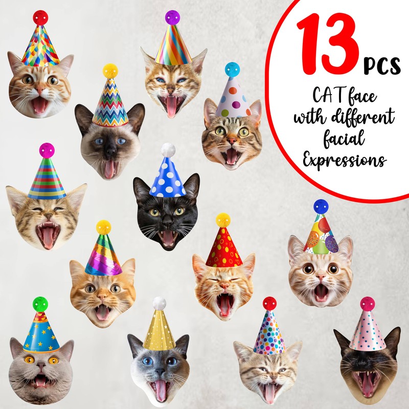 Cat Party Garland Cat Faces Birthday Garland Kitties Birthday Party