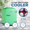 ICEBOX IBMF4MNT Mini Fridge For Bedroom, Skincare Refrigerator, Portable Cooler