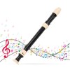 Flute ABS Descant Recorders Instrument, Detachable 8 Hole Soprano Recorder