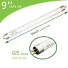 Accway (6pack) 9'' F6T5/CW Fluorescent 4100K Cool White Bulb, 6