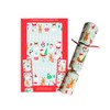Make and Fill Your Own Christmas Cracker Kit - Includes