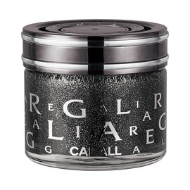 晴香堂(HARUKADO) カーオール 車用 芳香剤 レガリア エンリッチ シルキーヴェール 65ml 1384