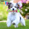 Fancy Pets Juguete Pesa de Tela con Pelotas para Perro