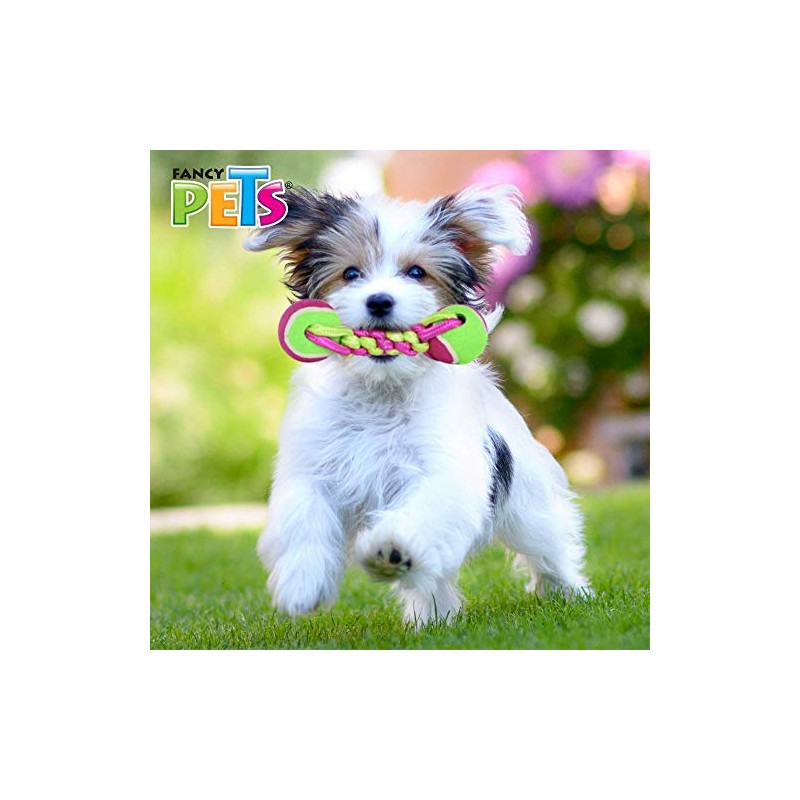 Fancy Pets Juguete Pesa de Tela con Pelotas para Perro