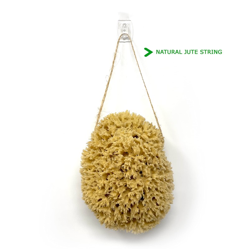 XL 18CM Sea Sponge Unbleached Honeycomb Natural Seasponge for Bath