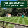 Advanced 16-4-8 Lawn Fertilizer - Liquid Lawn Food Spring &