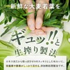 【生搾り製法の青汁 酵素が活きてとれる】クリアな青汁 青汁 国産 大分県産 大麦若葉 乳酸菌 非加熱 無添加 無農薬
