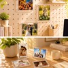 Hugloogn 12PCS Magnetic Acrylic Photo Frames,2.36 x 3.54 Inch Double