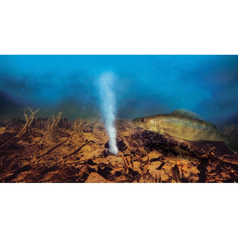 BaitCloud Multi Species Fishing Attractant Twin Pack, 6Balls in Total