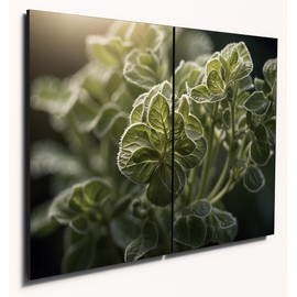 The Plum Penguin Oregano Essence Abstract Macro Wall Art, Dual A4 6mm MDF, Textured Green Home Decor Canvas Alternative 40 x 30cm