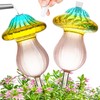 11 oz Large Plant Watering Globes, Glass Self Watering Globes,