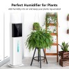 Honovos Humidifiers Large Room Bedroom with 7 Colors Light,Honovos 8L
