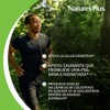 Lecithin 1,200mg Nature's Plus 90 Softgel by