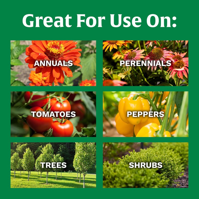 Scotts All Purpose Flower and Vegetable Continuous Release Plant Food,