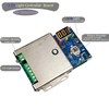 Remote 3 Channel Light Cycle Controller Sequencer with 50+ Modes