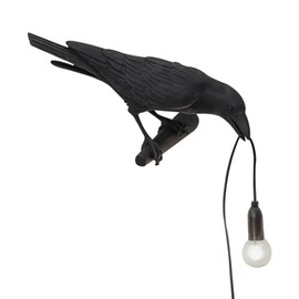 Aooxida Raven Bird Lamp,Vintage Resin Crow Lamp with E14 Blub, Wall Mounted Gothic Wall Sconce Night Light Fixture with Plug in Cord for Living Room Bedroom Art Deco