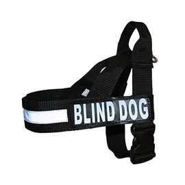 Blind Dog Nylon Strap Service Dog Harness No Pull Guide Assistance Comes with 2 Reflective Blind Dog Removable Patches. Please Measure Your Dog Before Ordering. (Medium Fits Girth 22-29")