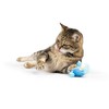 Huxley & Kent Chirpy Cat Toy - Bluebird - Interactive