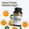 Windmill Vitamin C-1000 Tablets Sustained Release 100 Tablets