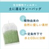 Itoen Oi Green Tea (with Matcha) 0.06 oz (1.8 g)