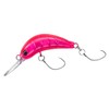 DAIWA Trout Caterpillar Lure, Clear Pink, 1.4 inches (35 mm)