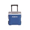 Igloo Latitude 16 Roller (Indigo Blu.Wht.M-Gray.Wht) 00034825