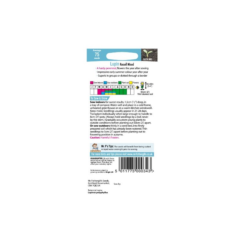 Mr Fothergill's 11554 Flower Seeds, Lupin Russell Mixed