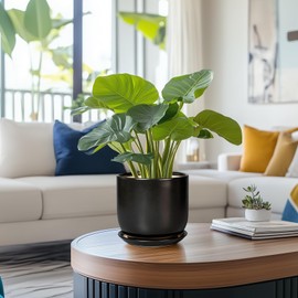 SUNPOTFOR Ceramic Planter 7 Inch - Cylinder Round Modern Indoor Plant Pot for Plants with Drainage Hole and Saucer, Room Home Patio Office Patio Decor, Black