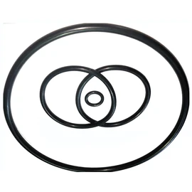 Generic PS-200 5/8"" Shaft Seal & O-Ring Rebuild Kit,Compatible with AquaFlo, Flo-Master XP2 XP2E Series Pool Pump