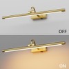 Aipsun 23.6" Brass Picture Lights for Wall Rechargeable,12000mAh Battery Operated