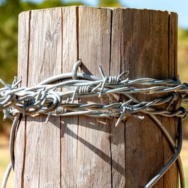 Galvanised U Nails for Fencing, U Shaped Nails,Chicken Wire Fencing, Fasteners Nails for Wire Mesh and Woven Garden Fencing(2mmx24mm,100pcs)