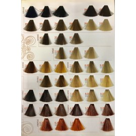 Professional Nova Color Dye - Renée Blanche - Light Brown Gold