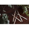 Ecowood Cepillo de Dientes 100% de Bambú Biodegradable con Cerdas