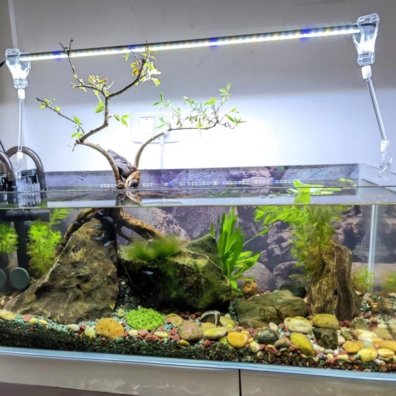 6 Pack Aquarium Suction Cups with Clips - Fish Tank
