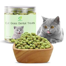 Avocatto Cat Grass Dental Crunchy Treats, Natural Tasty Dental Care Snacks for Cats, Healthy Teeth Cleaning & Freshen Breath