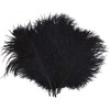 Crenze 10pcs Black Ostrich Feathers 12-14inch(30-35cm) for Home Wedding Decoration
