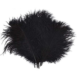 Crenze 10pcs Black Ostrich Feathers 12-14inch(30-35cm) for Home Wedding Decoration
