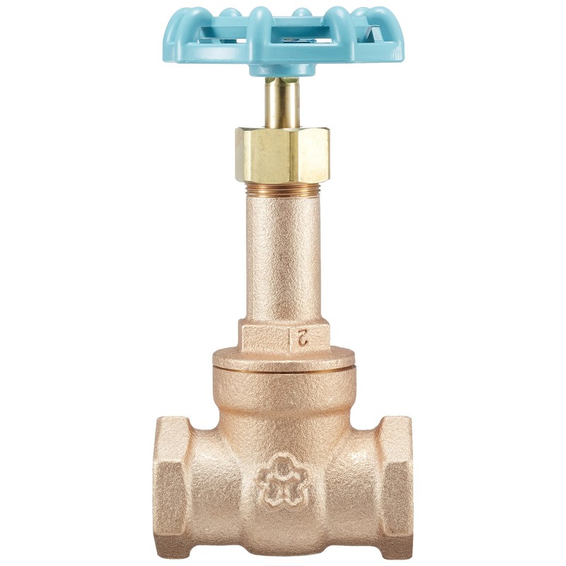 Daiwa Valve, Bronze Gate Valve, 10K Core, 10G-CN15A